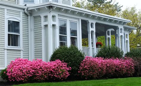 ld landscaping|best bushes for front of house.